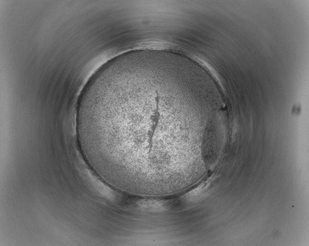 X0000089381083200706221248