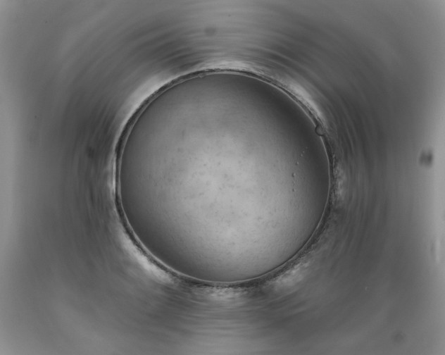 X0000089381084200706221248