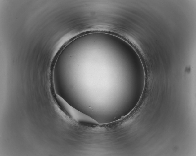X0000089381085200706221248