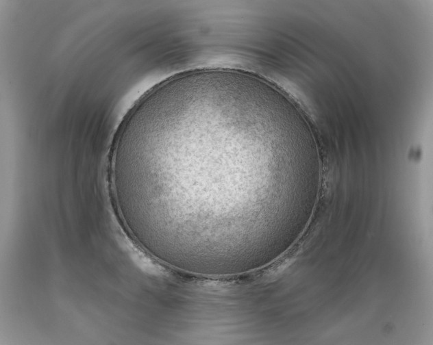 X0000089381086200706221248