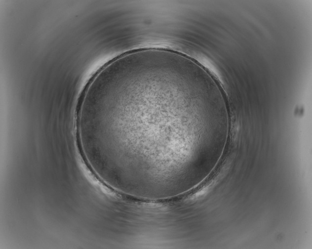 X0000089381088200706221248