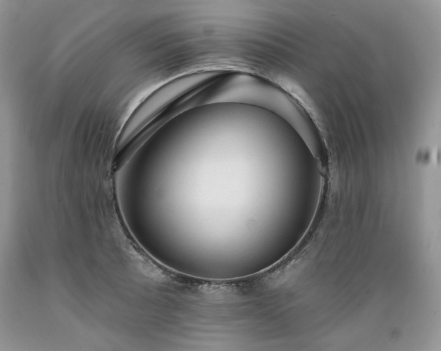 X0000089381089200706221248
