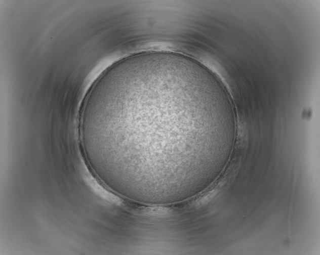 X0000089381090200706221248