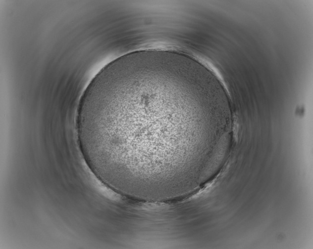X0000089381091200706221248