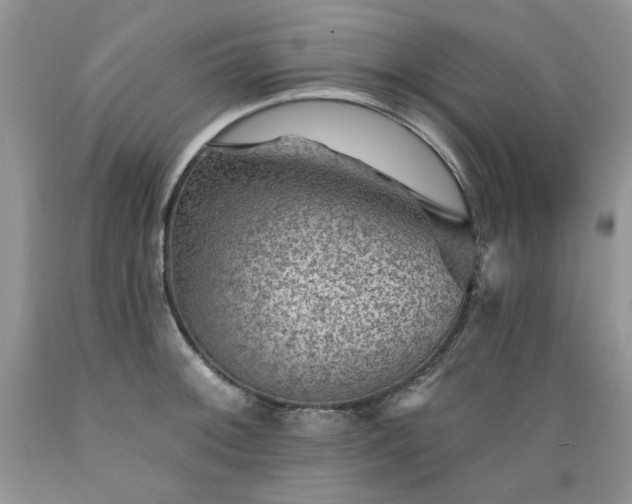 X0000089381092200706221248