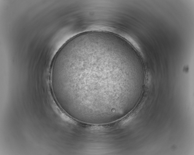 X0000089381094200706221248