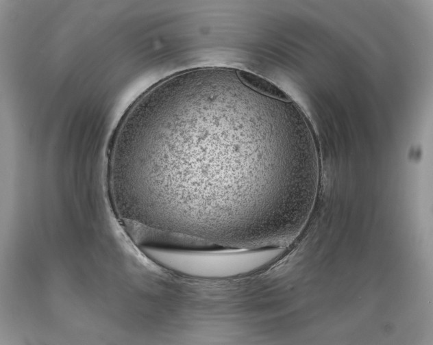 X0000089381096200706221248