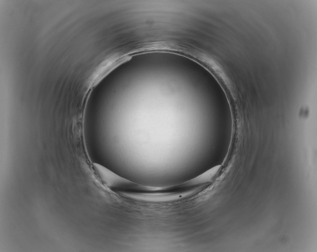 X0000089381097200706221248