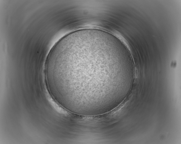 X0000089381098200706221248