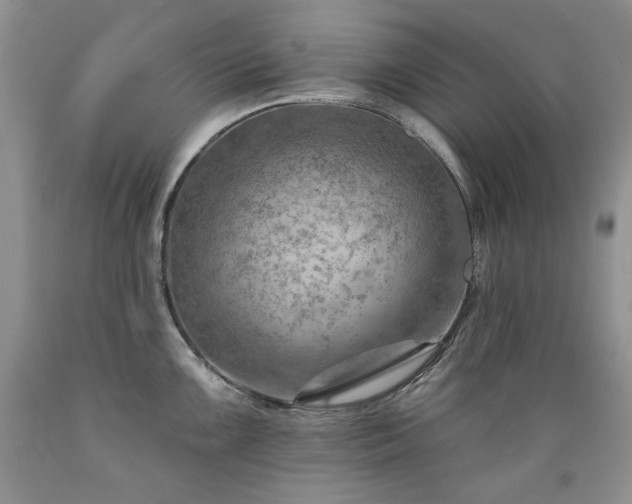 X0000089381099200706221248
