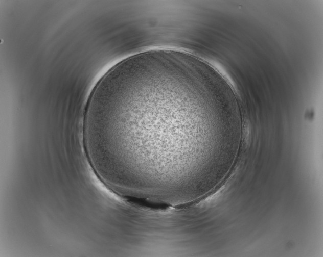 X0000089381100200706221248