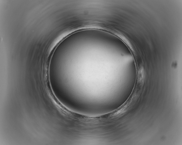 X0000089381101200706221248
