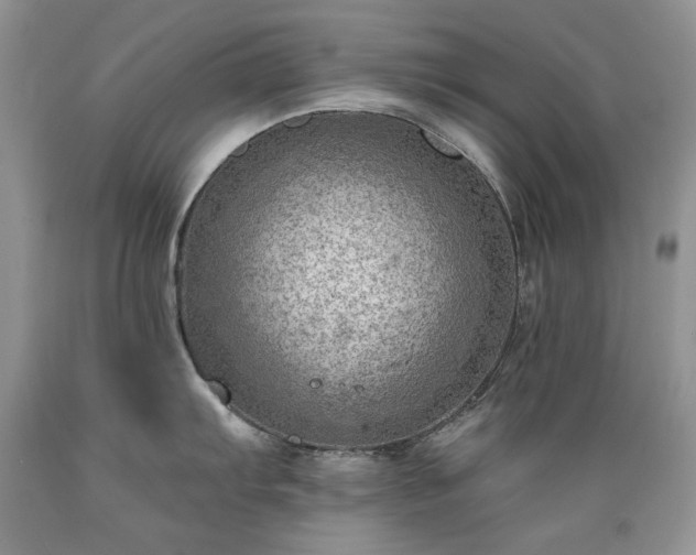 X0000089381103200706221248