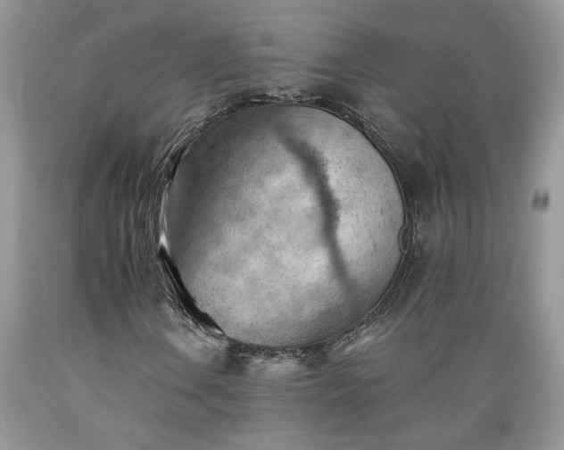 X0000089381106200706221247