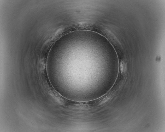 X0000089381107200706221247