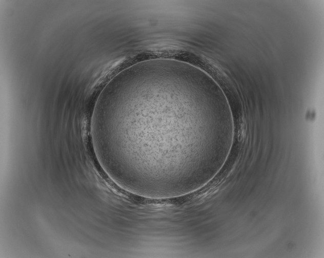X0000089381108200706221247