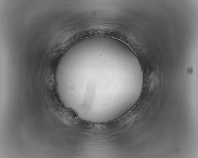 X0000089381109200706221247