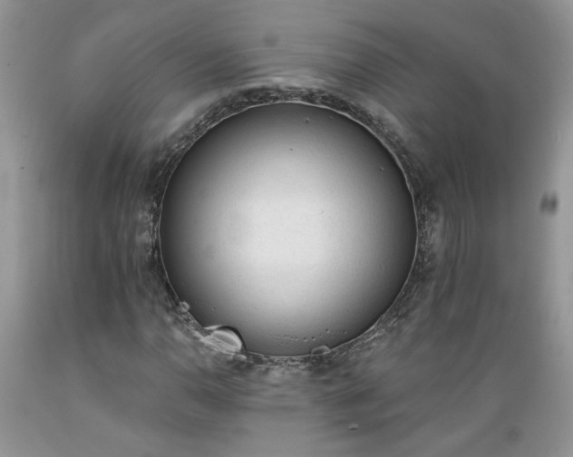 X0000089381110200706221247