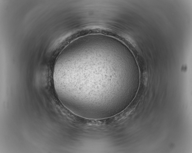 X0000089381111200706221247