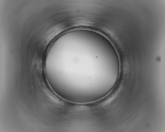 X0000089381113200706221247