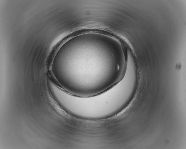 X0000089381114200706221247