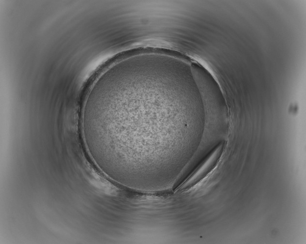 X0000089381115200706221247