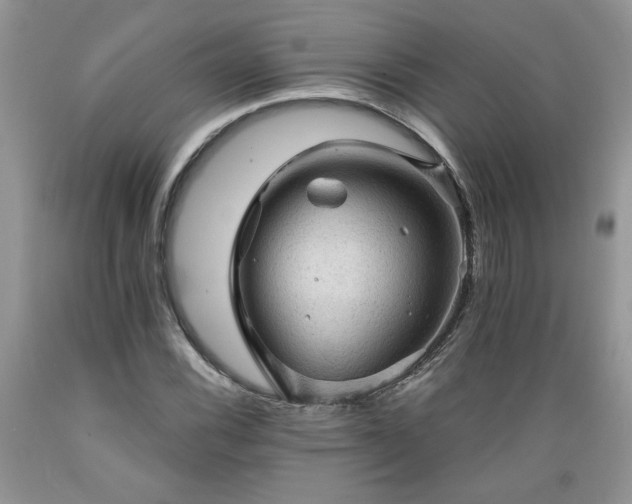 X0000089381116200706221247