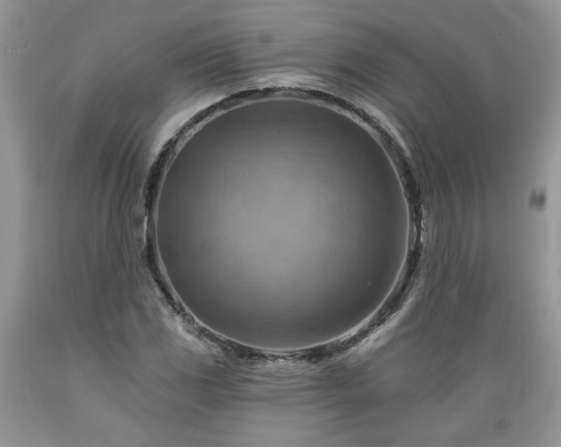 X0000089381117200706221247