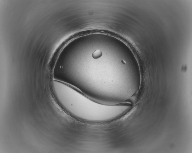 X0000089381118200706221248