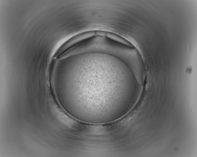 X0000089381120200706221248