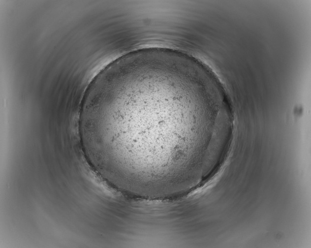 X0000089381121200706221248