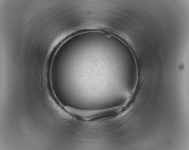X0000089381122200706221248