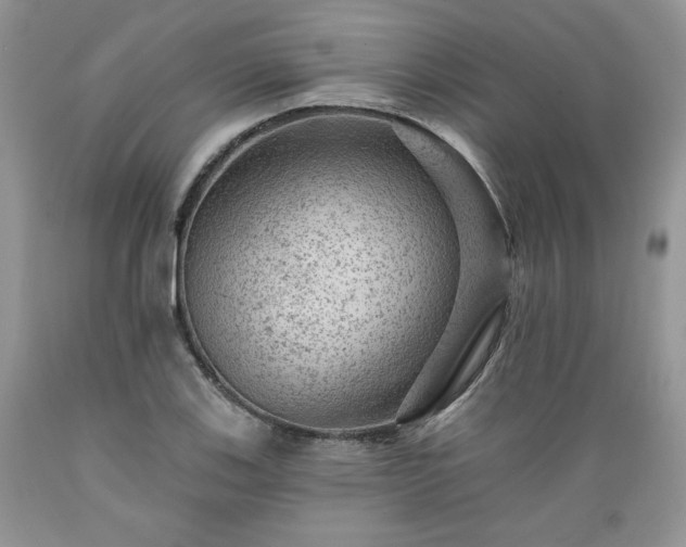 X0000089381123200706221248