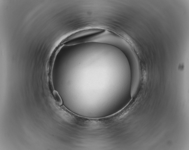 X0000089381124200706221248