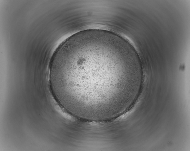 X0000089381125200706221248
