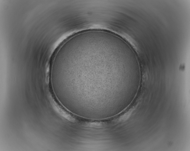X0000089381126200706221248