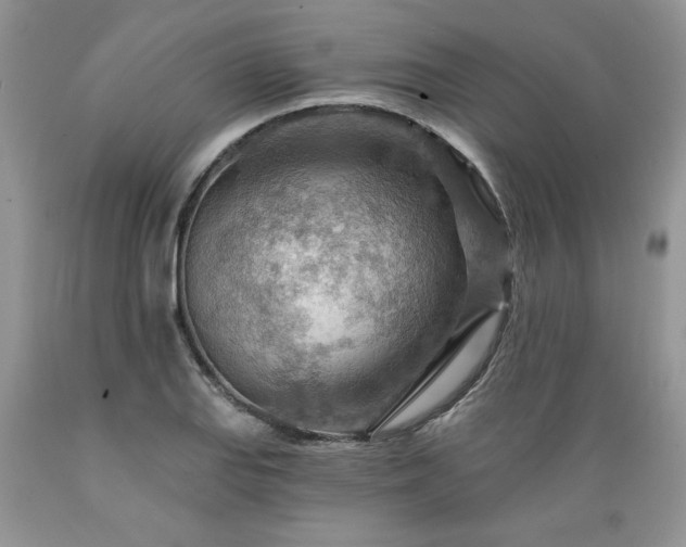 X0000089381127200706221248