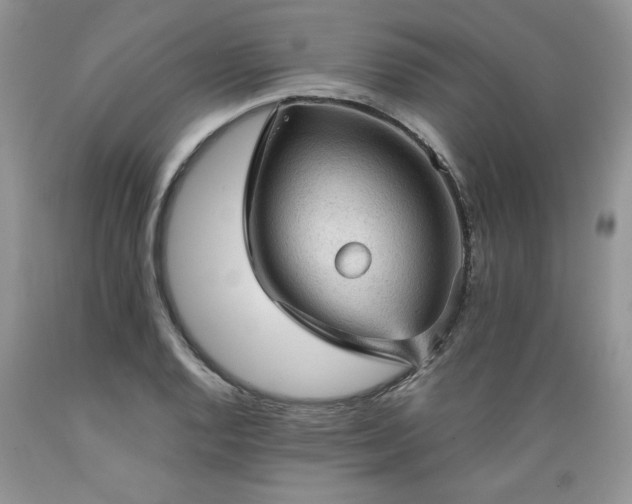 X0000089381128200706221248