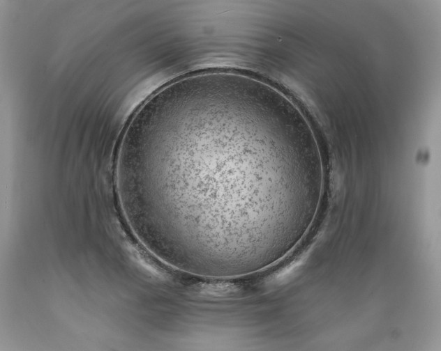 X0000089381129200706221248