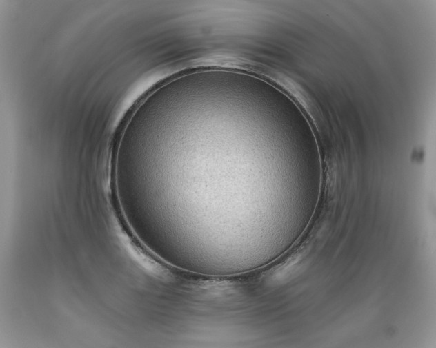X0000089381131200706221248