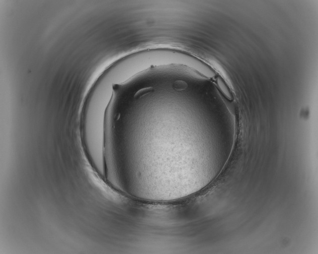 X0000089381132200706221248