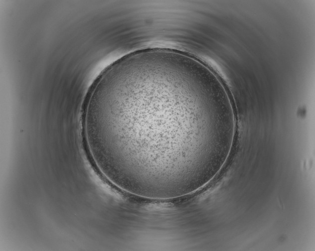 X0000089381133200706221248