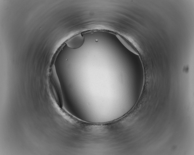 X0000089381134200706221248