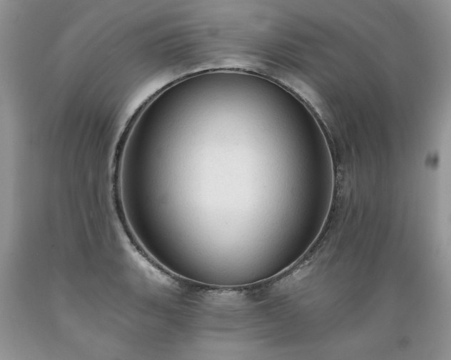 X0000089381135200706221248