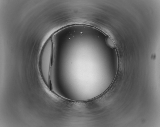 X0000089381136200706221248