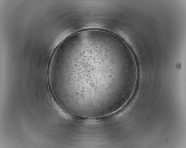 X0000089381137200706221248