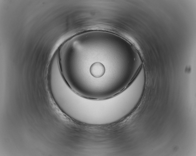 X0000089381138200706221248