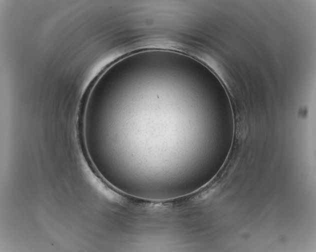 X0000089381139200706221248
