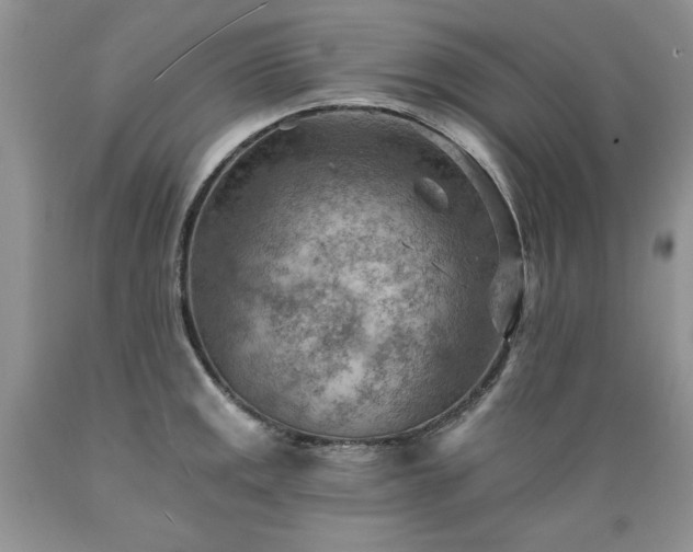 X0000089381141200706221248