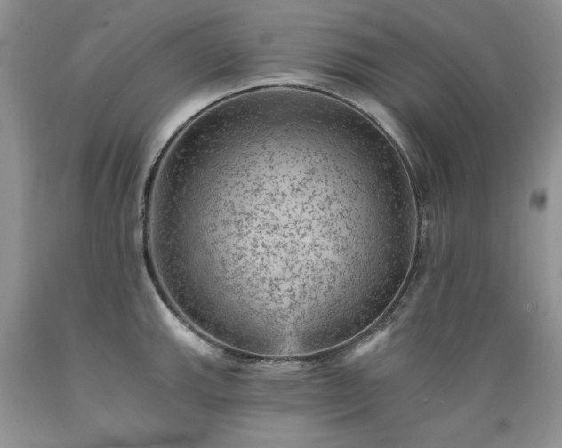 X0000089381143200706221248